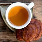 Turkey Tail Mushrooms Tea Recipe