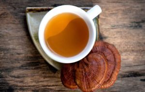 Turkey Tail Mushrooms Tea Recipe