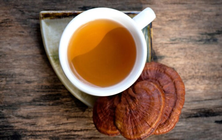 Turkey Tail Mushrooms Tea Recipe