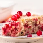 Cranberry Custard Pie